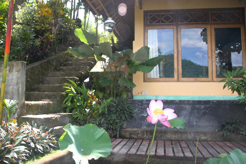 Bebek Biru Hotel Sidemen  Exterior foto