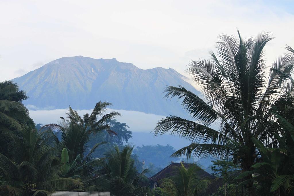 Bebek Biru Hotel Sidemen  Exterior foto